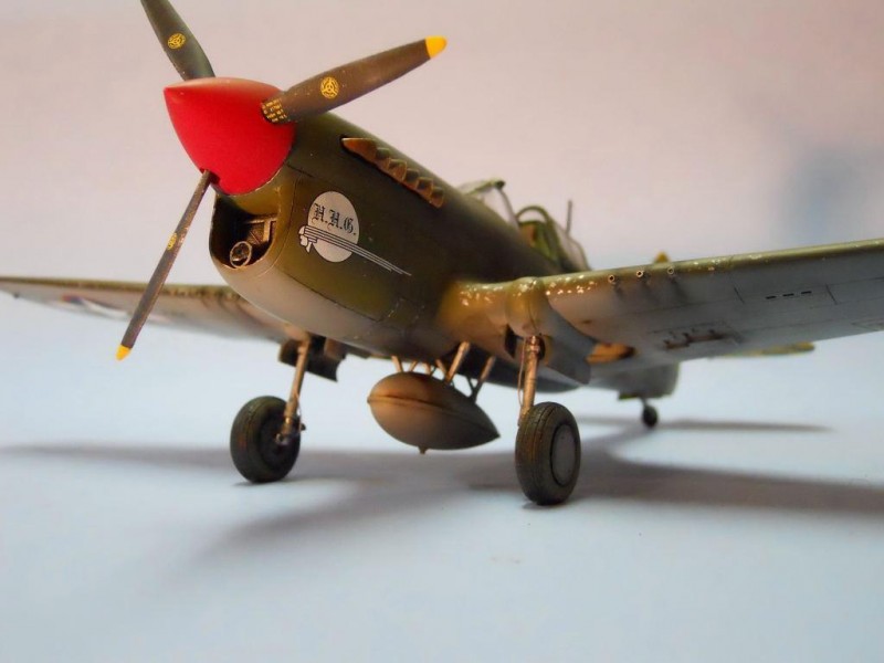 AMT 1:48 scale P-40F, 