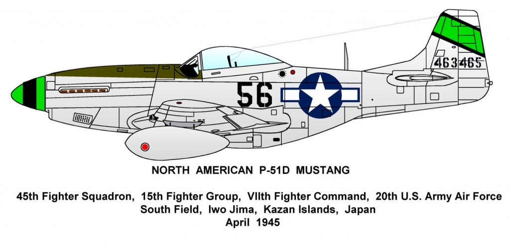Camouflage and Markings of the North American P-51 Mustang.