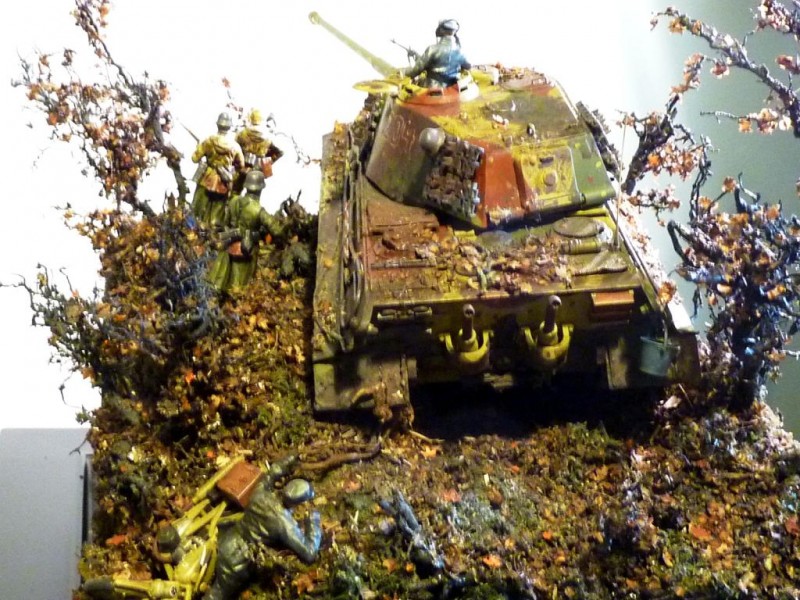 “Tiger in the Woods” - 1/35 Dragon Tamiya - iModeler