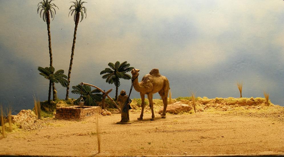 Desert Diorama Or Two Types Of Camels Imodeler,White Asparagus Fern